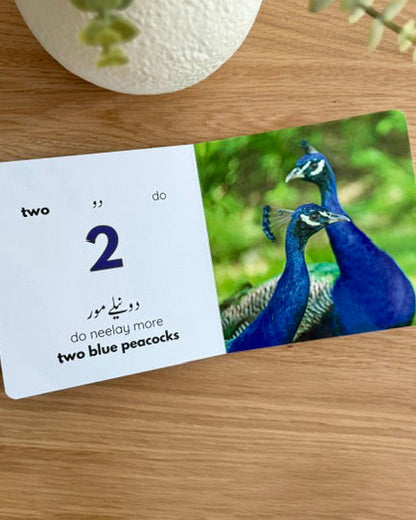 My First Urdu Books Bundle