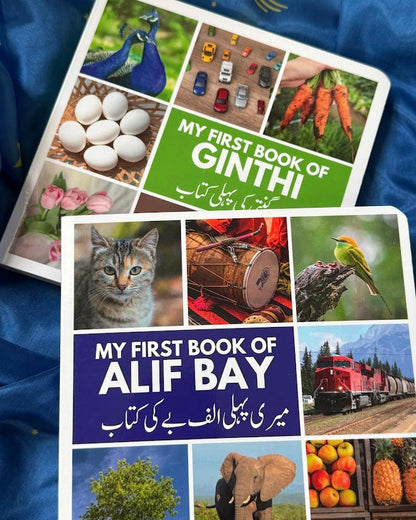 Children's educational book with images and text on a blue background