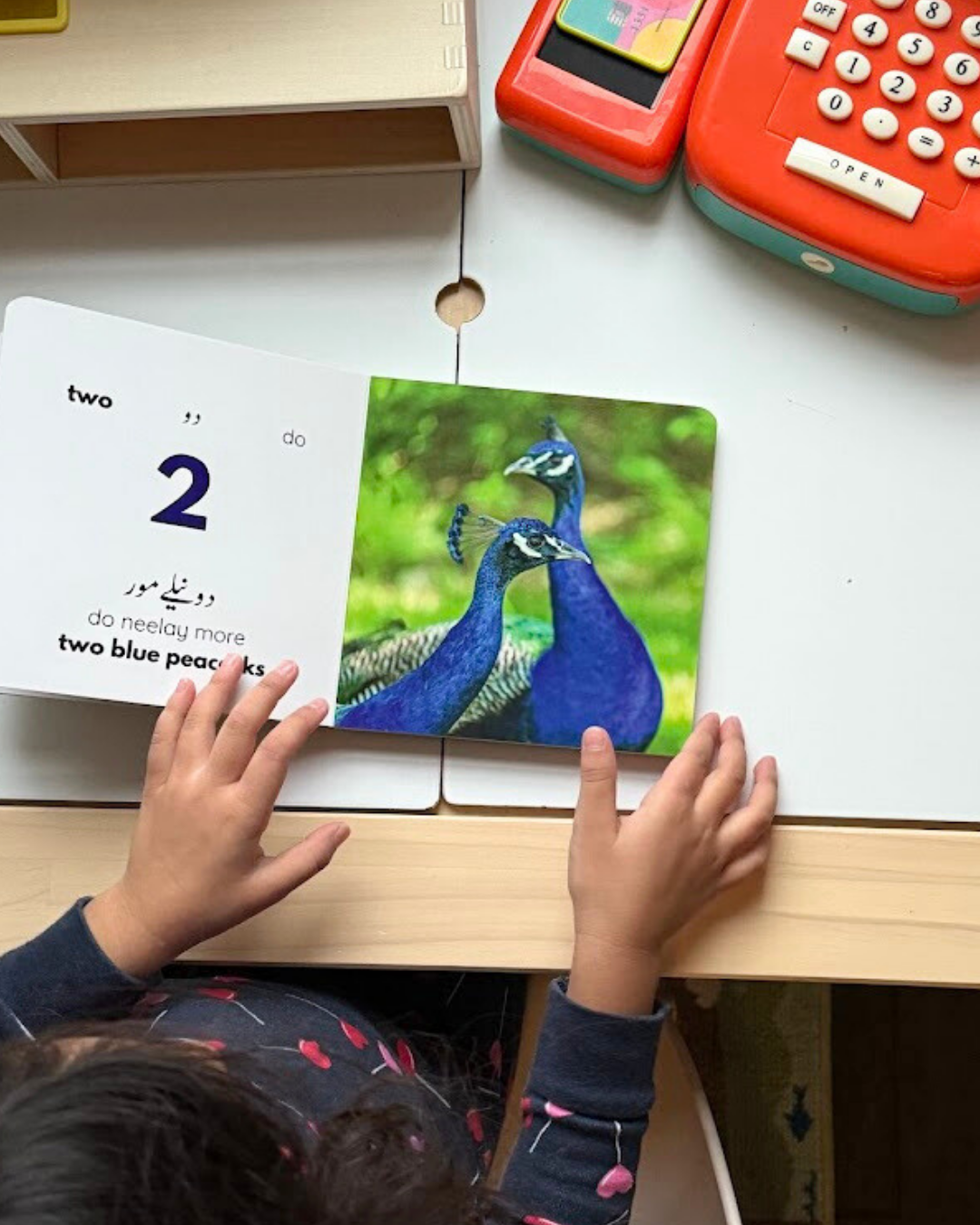 My First Book of Ginti